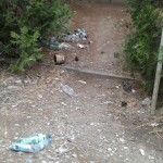 14182613_10207427369705711_626718291_n