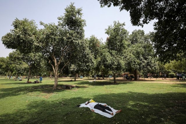 A man sleeps under the shade of a tree on a hot summer day at a public park in New Delhi